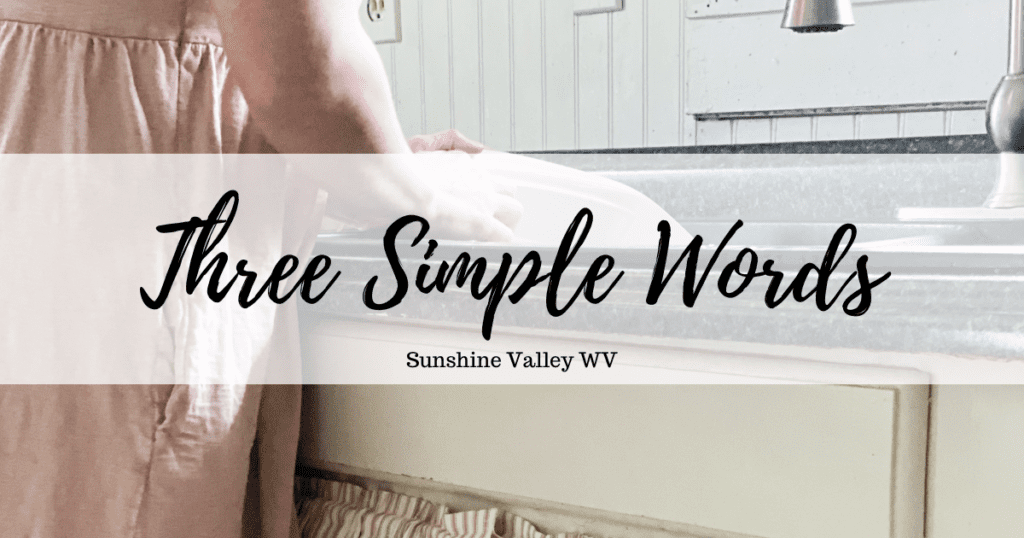 Three Simple Words That Changed my Perspective on Homemaking 1 three simple words - Sunshine Valley WV