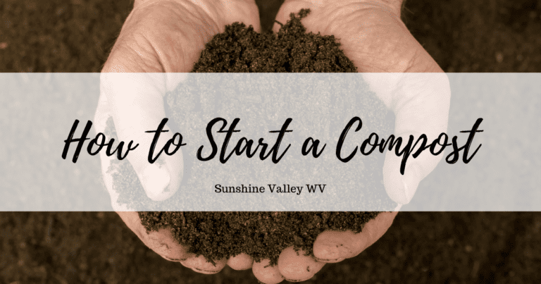 How to Start a Compost