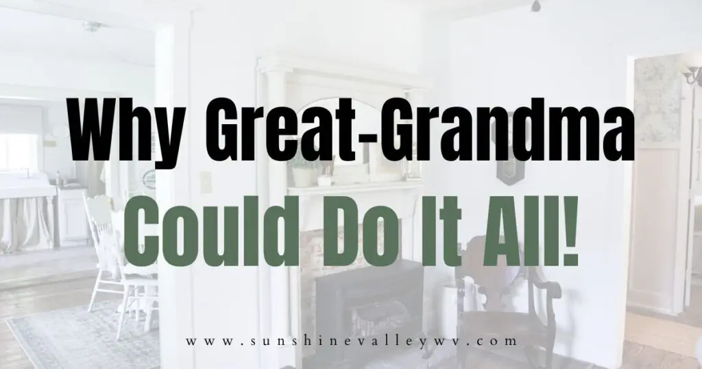 Why Great Grandma Could Do It All: She Didn’t Have So Many Distractions 1 why great grandma could do it all - Sunshine Valley WV