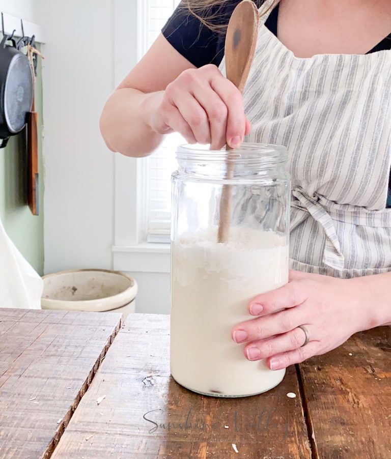 How to Revive a Neglected Sourdough Starter (It’s Not Too Late!)
