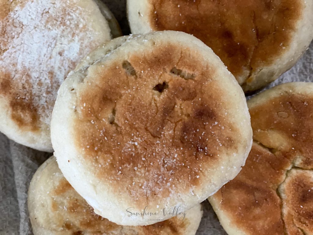 gut healthy food, gut healthy bread, healthy english muffins