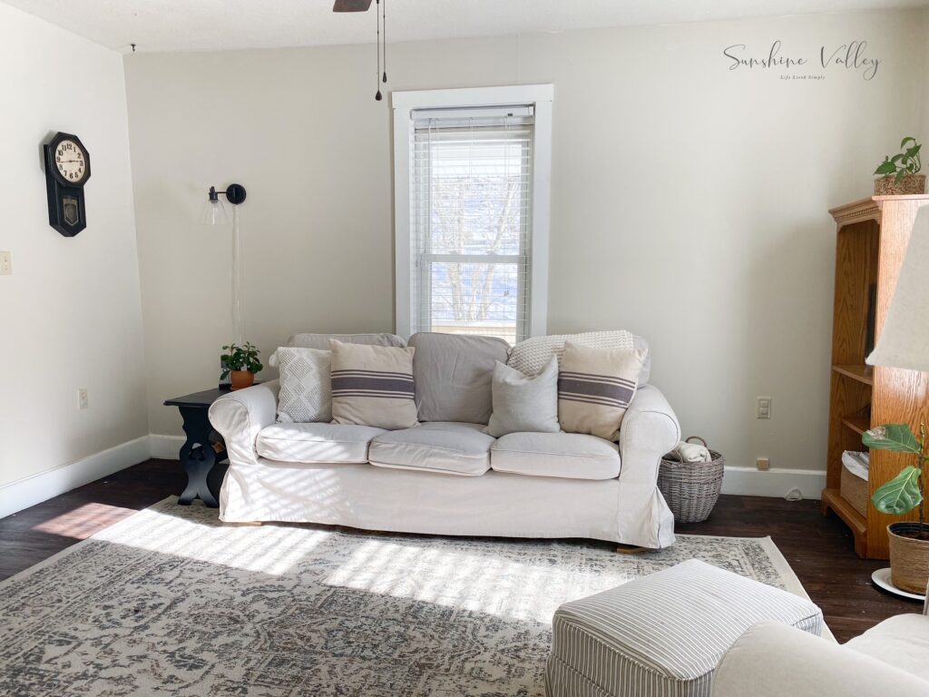declutter living spaces - Sunshine Valley WV