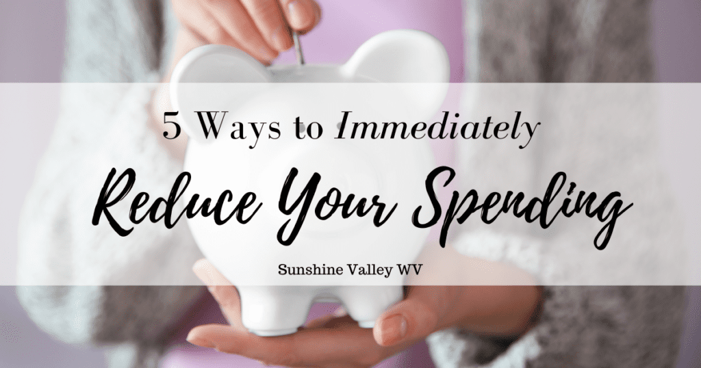 reduce your spending - Sunshine Valley WV