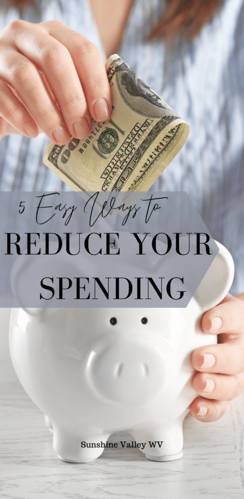 reduce your spending - Sunshine Valley WV