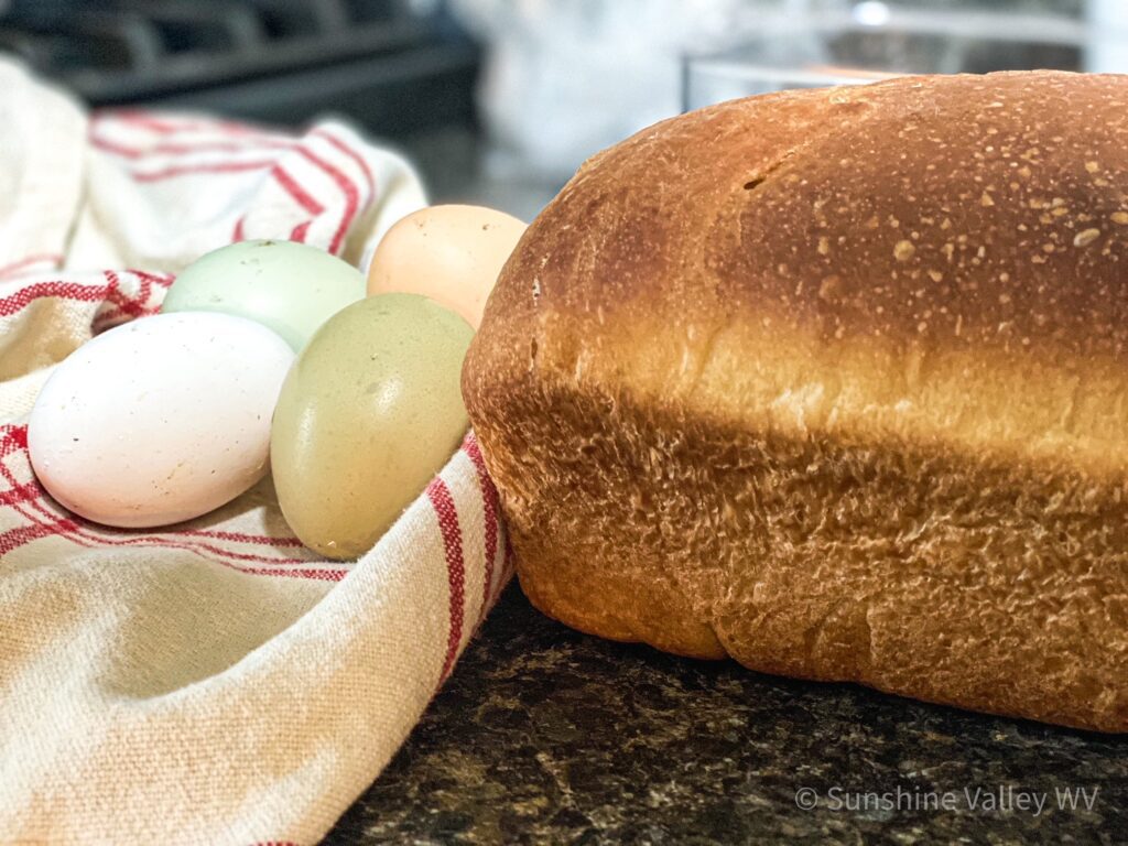 sourdough sandwich bread - Sunshine Valley WV