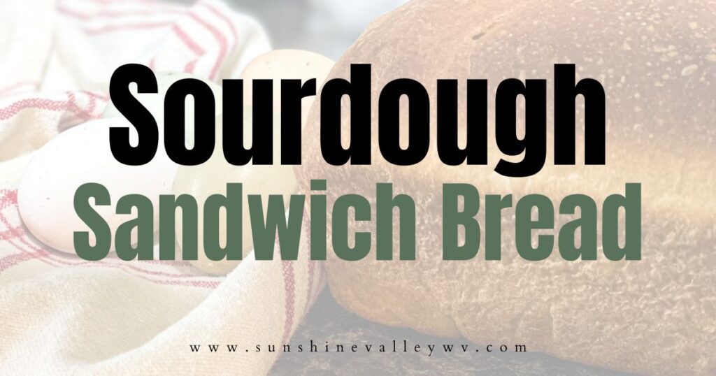 sourdough sandwich bread - Sunshine Valley WV