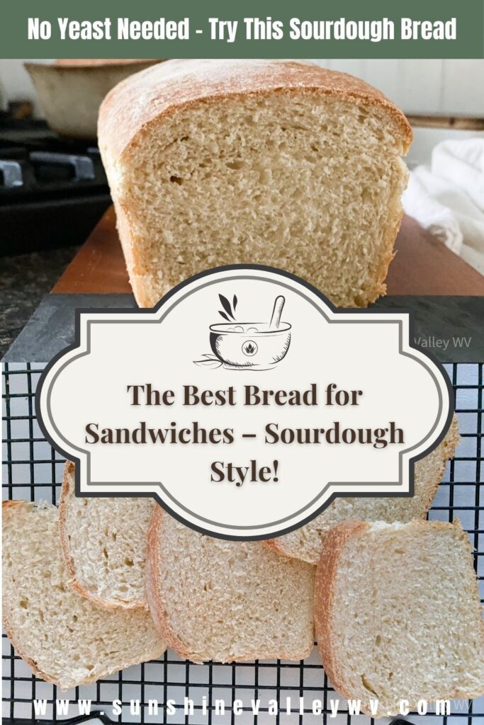 sourdough sandwich bread - Sunshine Valley WV