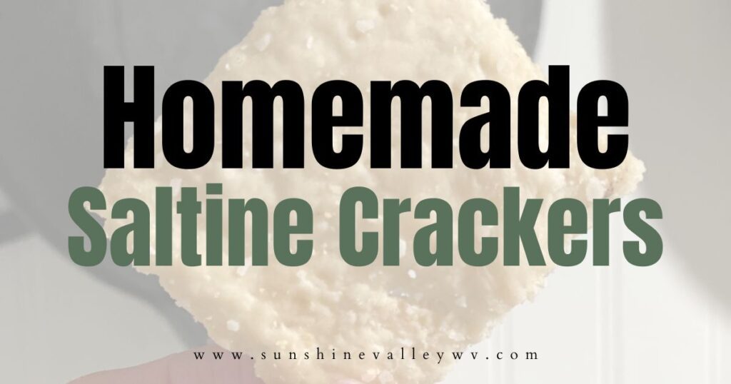 How to Make Homemade Saltine Crackers 1 homemade saltine crackers - Sunshine Valley WV