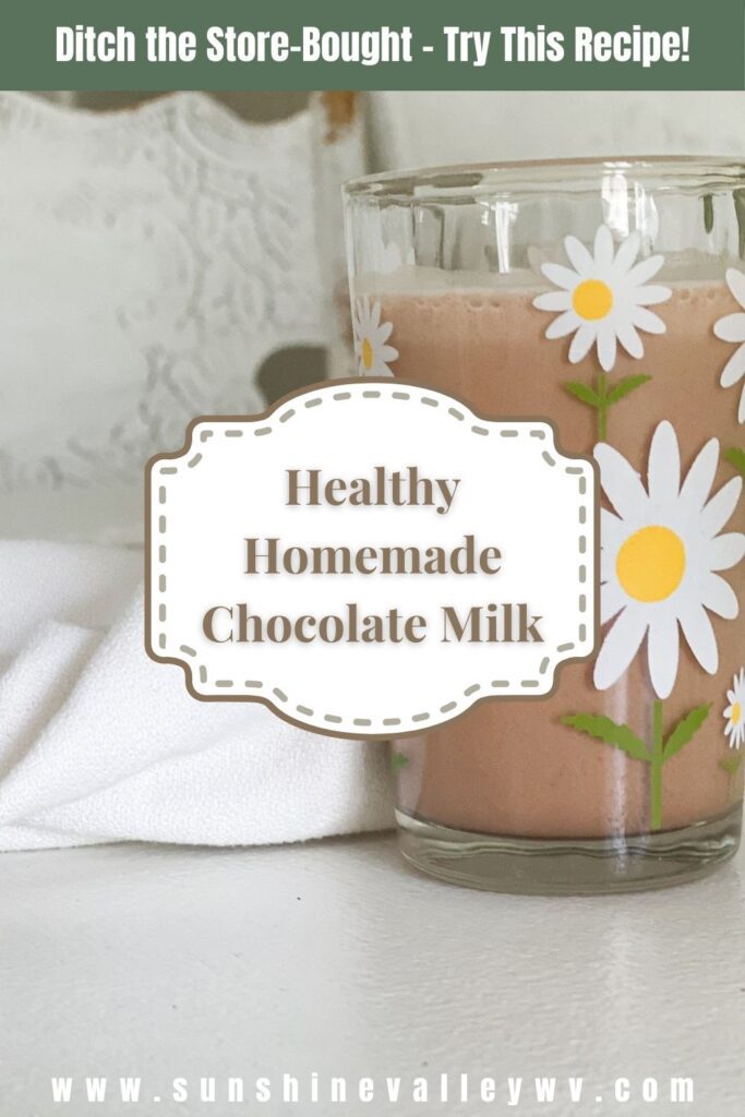 Homemade Chocolate Milk - Sunshine Valley WV
