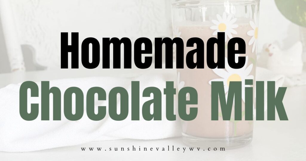 Homemade Chocolate Milk - Sunshine Valley WV