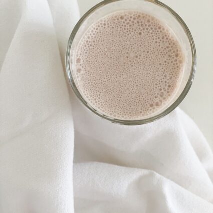 Homemade Chocolate Milk - Sunshine Valley WV