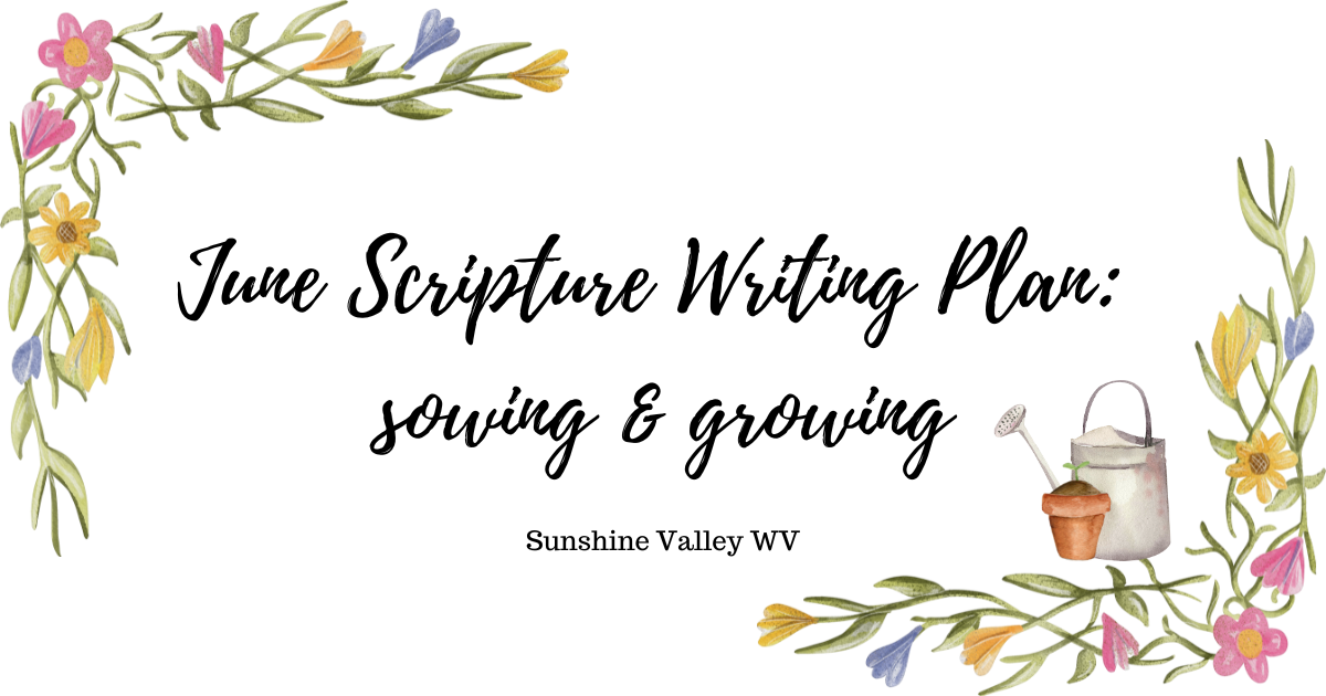 Start the New Year with a Scripture Writing Plan for January - Sunshine ...