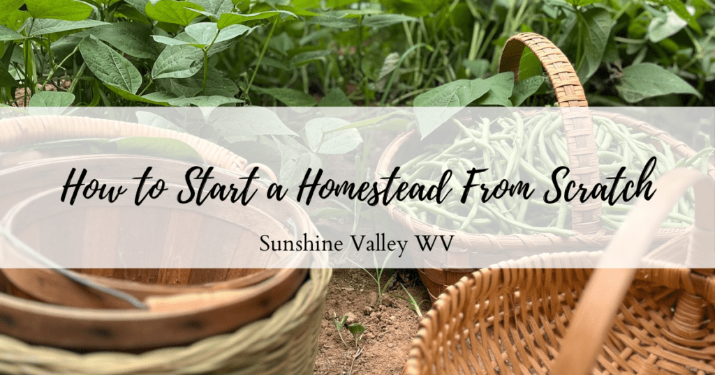 How To Start a Homestead 1 start a homestead - Sunshine Valley WV