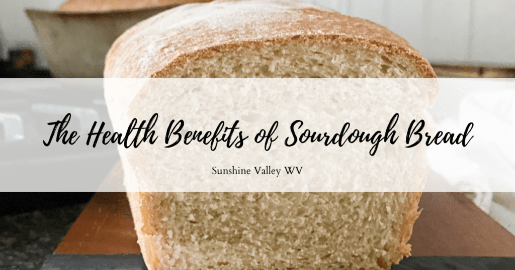 health benefits of sourdough - Sunshine Valley WV