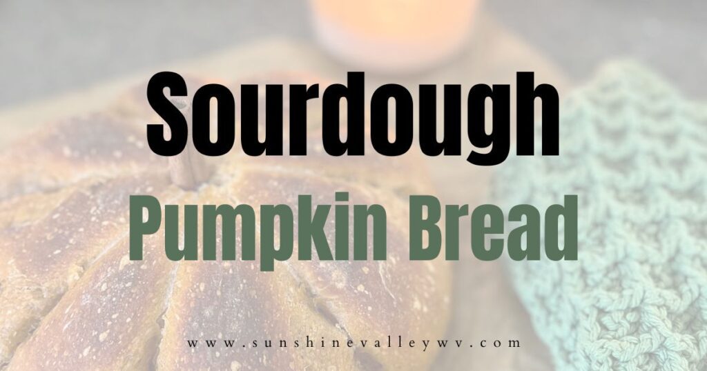 Pumpkin Sourdough Bread - Sunshine Valley WV