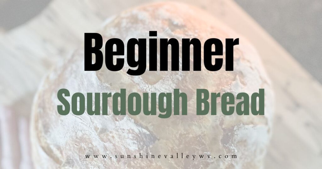 beginner sourdough bread - Sunshine Valley WV