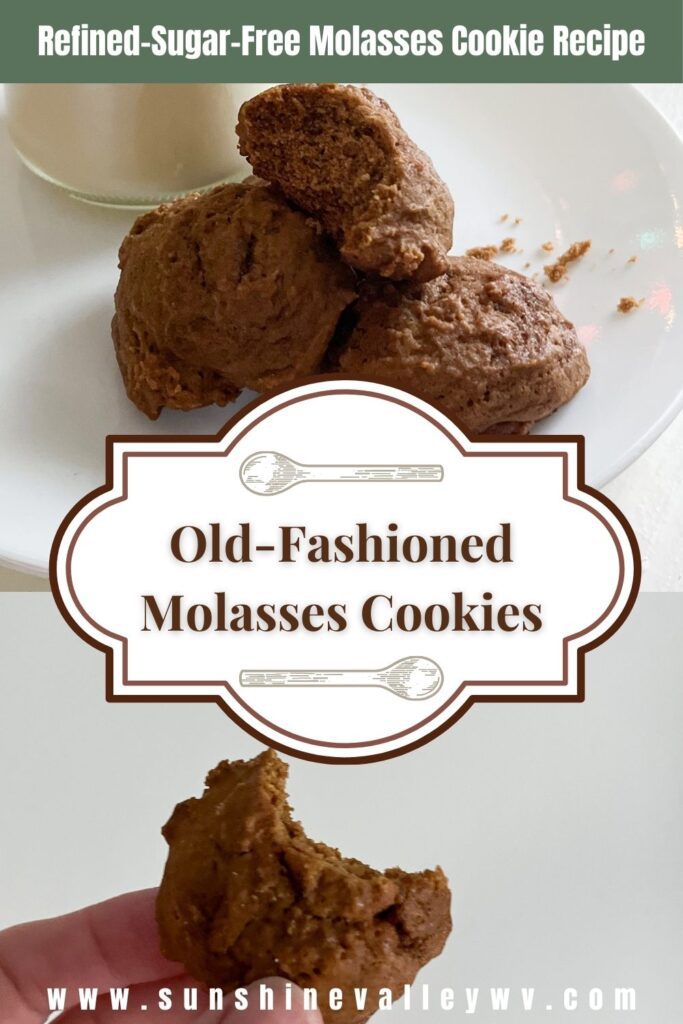 Old-fashioned molasses cookies - Sunshine Valley WV