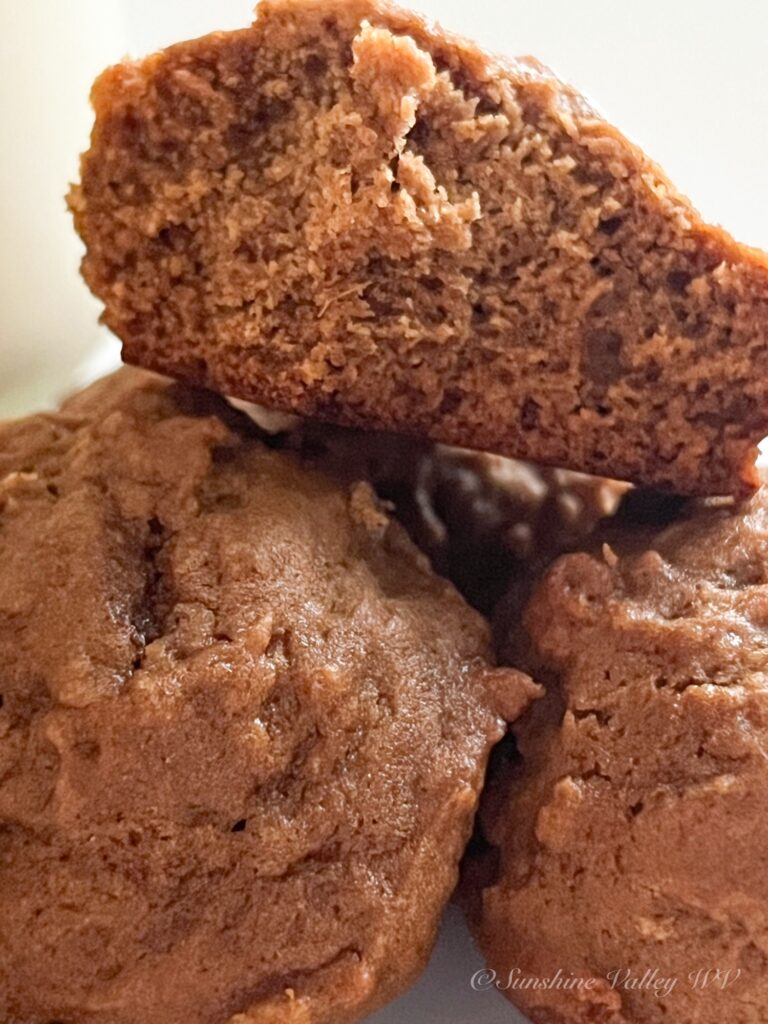 old-fashioned molasses cookies up close to show a soft chewy texture