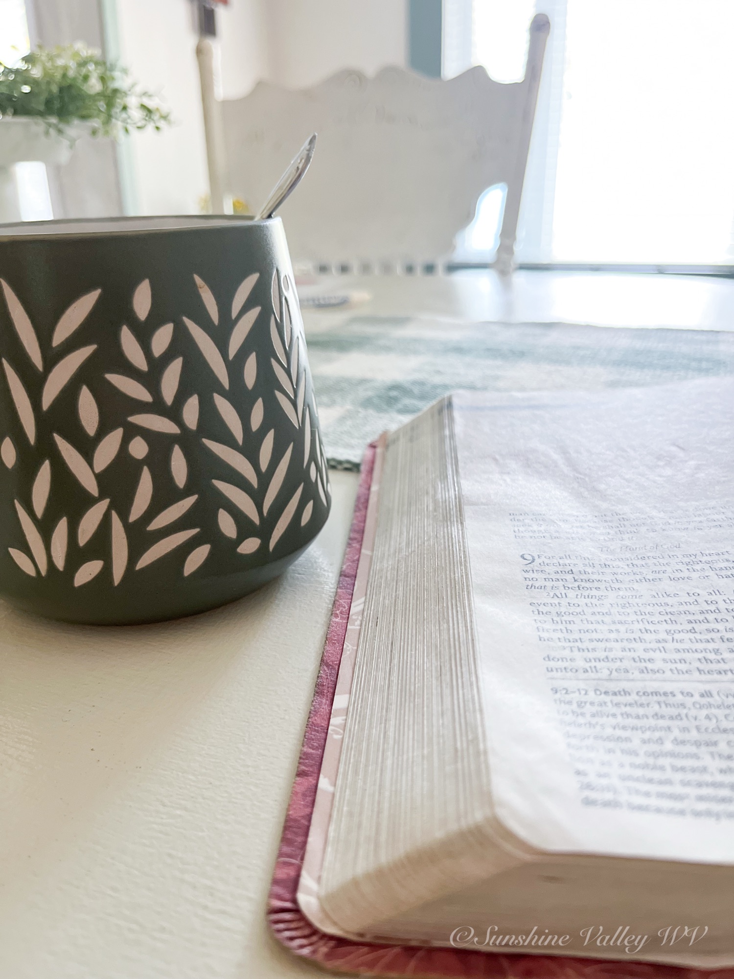 July 2026 Scripture Writing Plan (Book of Acts)