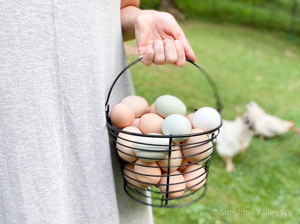 Old-Fashioned Homemaking | From-Scratch Recipes and Faith 25 how to cook with cast iron - Sunshine Valley WV