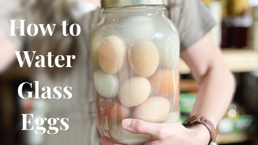 how to water glass eggs - Sunshine Valley WV