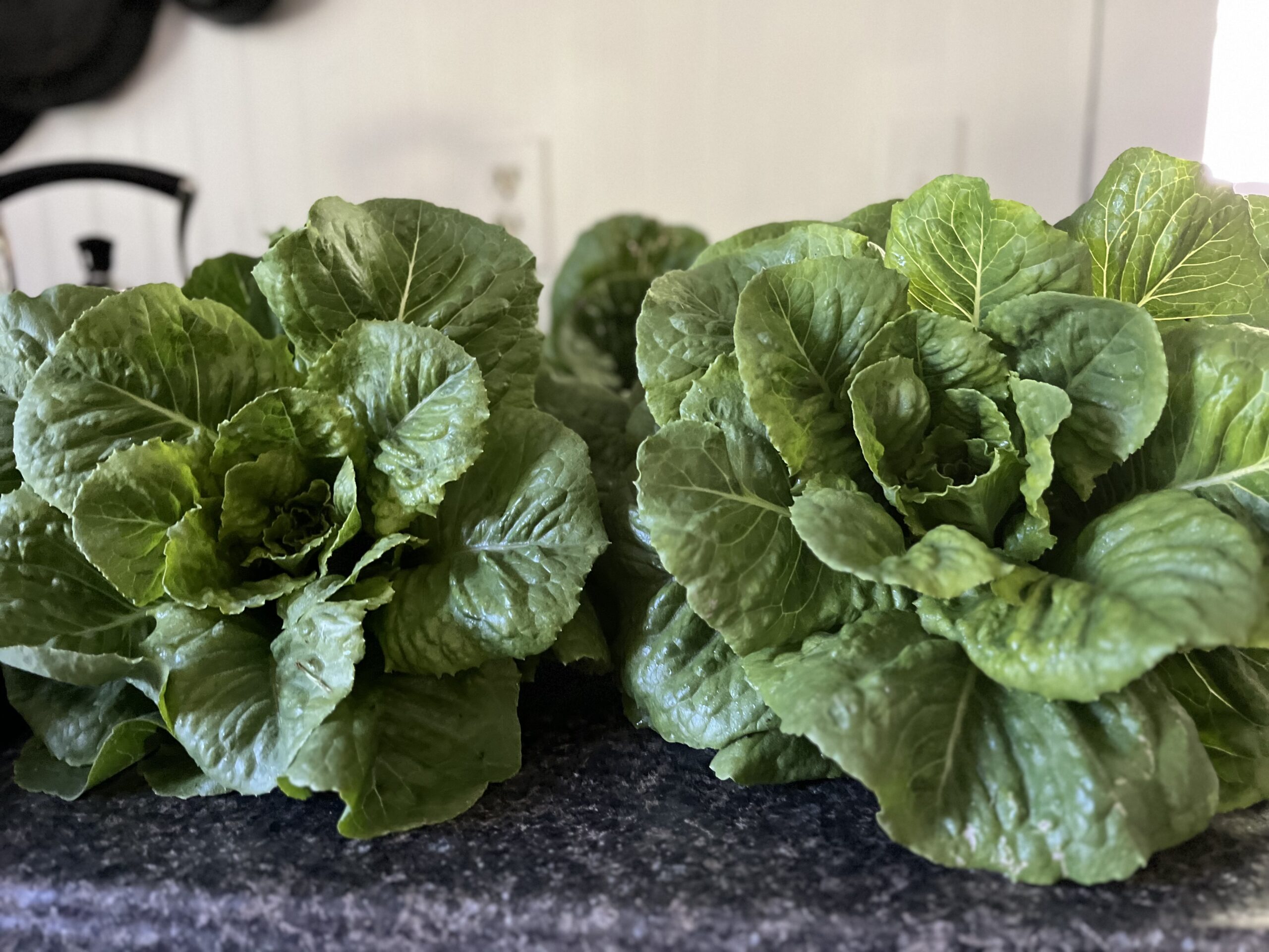 How I Use the Ruth Stout Gardening Method (Simple and Low Maintenance)