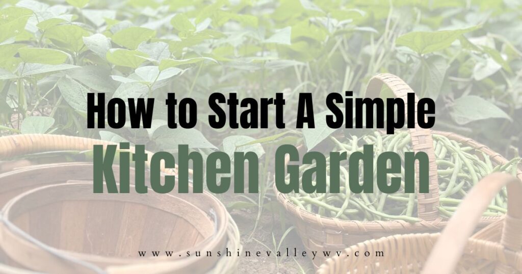 how to start a simple kitchen garden - Sunshine Valley WV