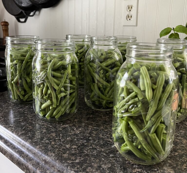 How to Pressure Can Green Beans (Step-by-Step for Beginners)