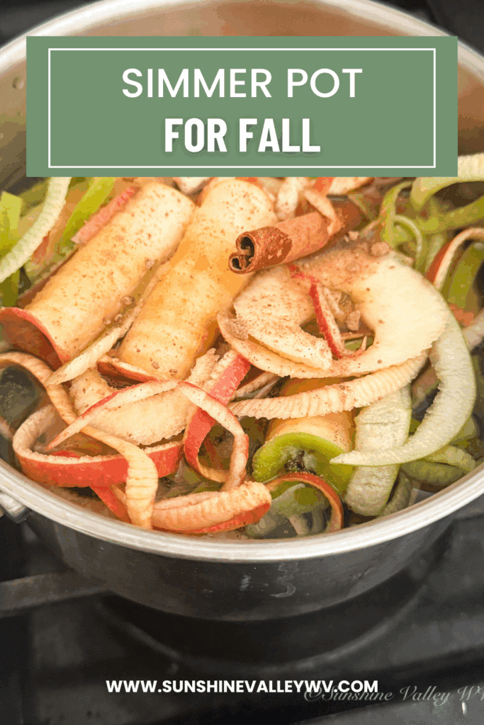 How to Make a Natural Simmer Pot for Fall - Sunshine Valley WV