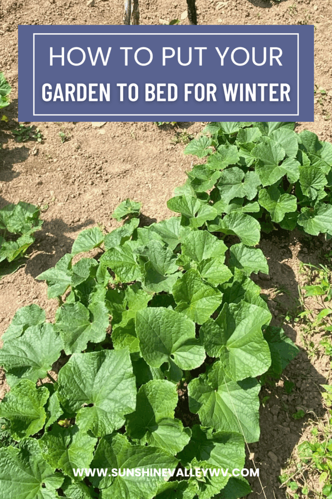 how to put the garden to bed for winter - Sunshine Valley WV
