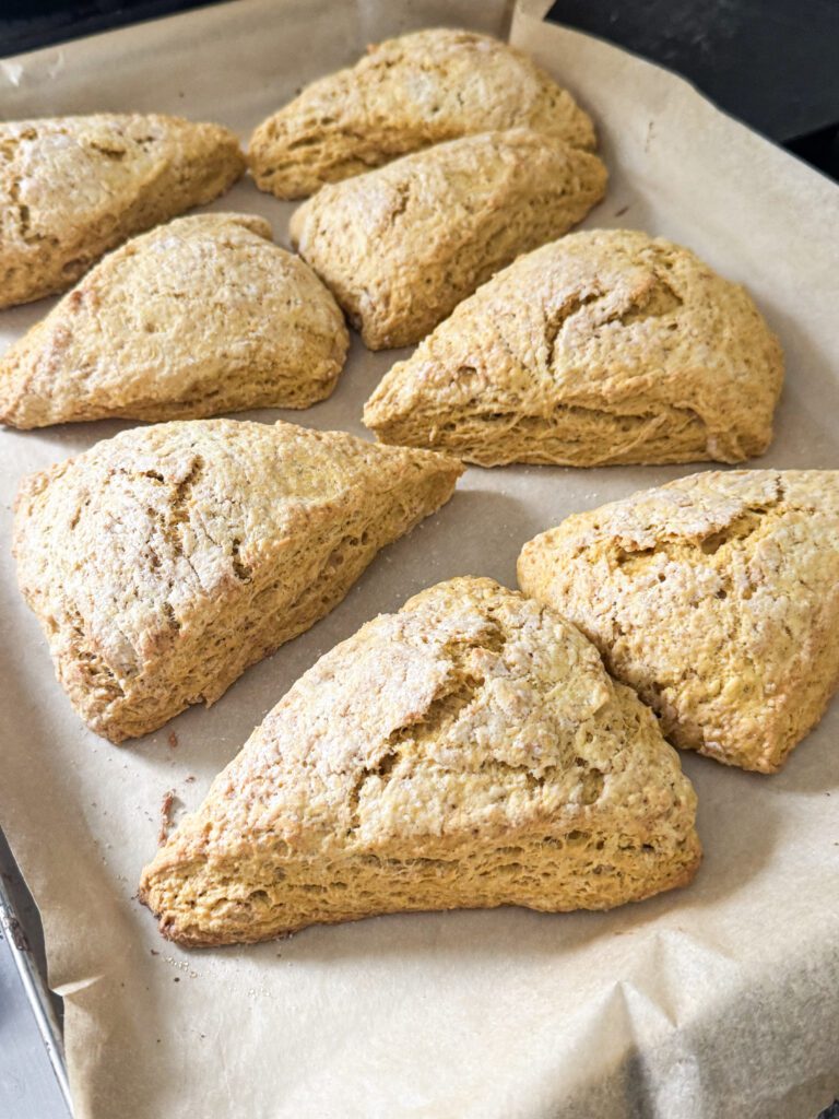 Sourdough Discard Pumpkin Scones | Easy Fall Recipe 1 sourdough discard pumpkin scones - Sunshine Valley WV